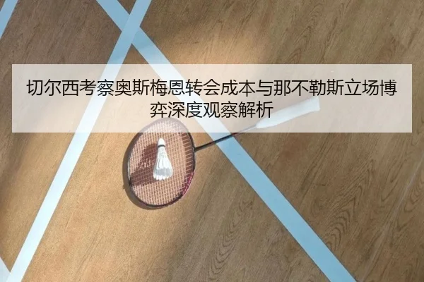 切尔西考察奥斯梅恩转会成本与那不勒斯立场博弈深度观察解析