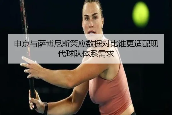 申京与萨博尼斯策应数据对比谁更适配现代球队体系需求